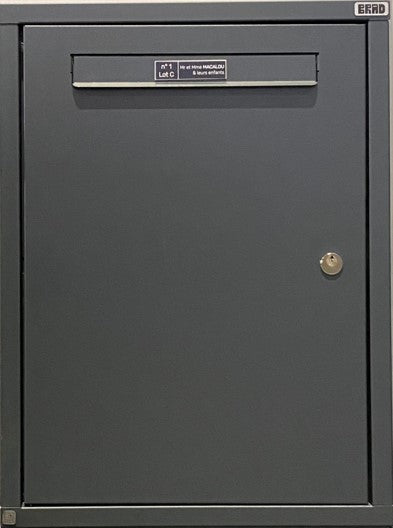 BRAD 3 EXCELLENCE Boîte aux lettres CLE POSTE et colis, 1 porte